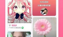 最新先祖爆料视频下载,探寻历史真相的神秘之旅