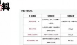 猪价最新爆料新闻视频,最新爆料视频深度解析