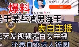 涡阳渣男爆料视频大全最新,揭秘渣男丑行，警示世人警惕