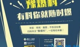 河南频道爆料新闻最新视频,揭秘神秘事件背后的真相