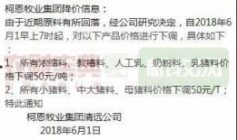 猪价最新爆料新闻视频,最新爆料视频深度解析