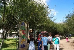 昆明旅游最新爆料,探秘春城秘境，解锁四季如春的绝美风光
