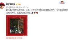 最新爆料杭天琪找鸭子,背后真相引人猜测