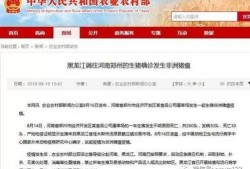 八村最新爆料新闻报道视频,揭秘幕后真相，独家视频曝光惊人内幕！”