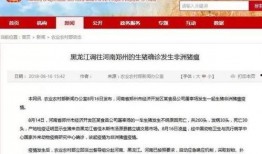 八村最新爆料新闻报道视频,揭秘幕后真相，独家视频曝光惊人内幕！”