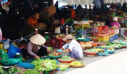 武汉菜场最新爆料,探寻市井烟火中的美食秘密