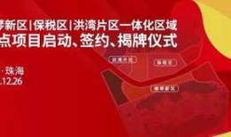 珠海最新爆料消息,揭秘珠海未来发展规划与重大项目动态
