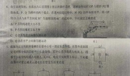 郑恺收入爆料最新消息是真的吗,最新消息真实性揭秘